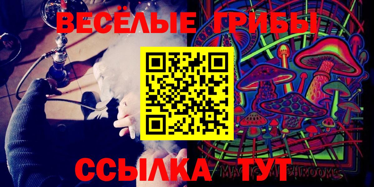 закладка  Вход с VPN  Рубцовск  Псилоцибиновые грибы прущие грибы  Галлюциногенные грибы мухоморы 